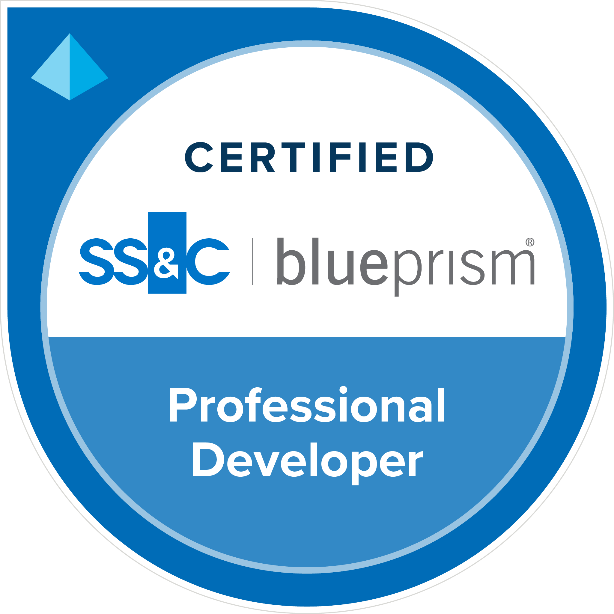 bp professional developer